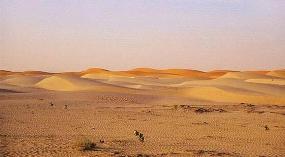 العثور على 3 مفقودين في «طعس القليب»